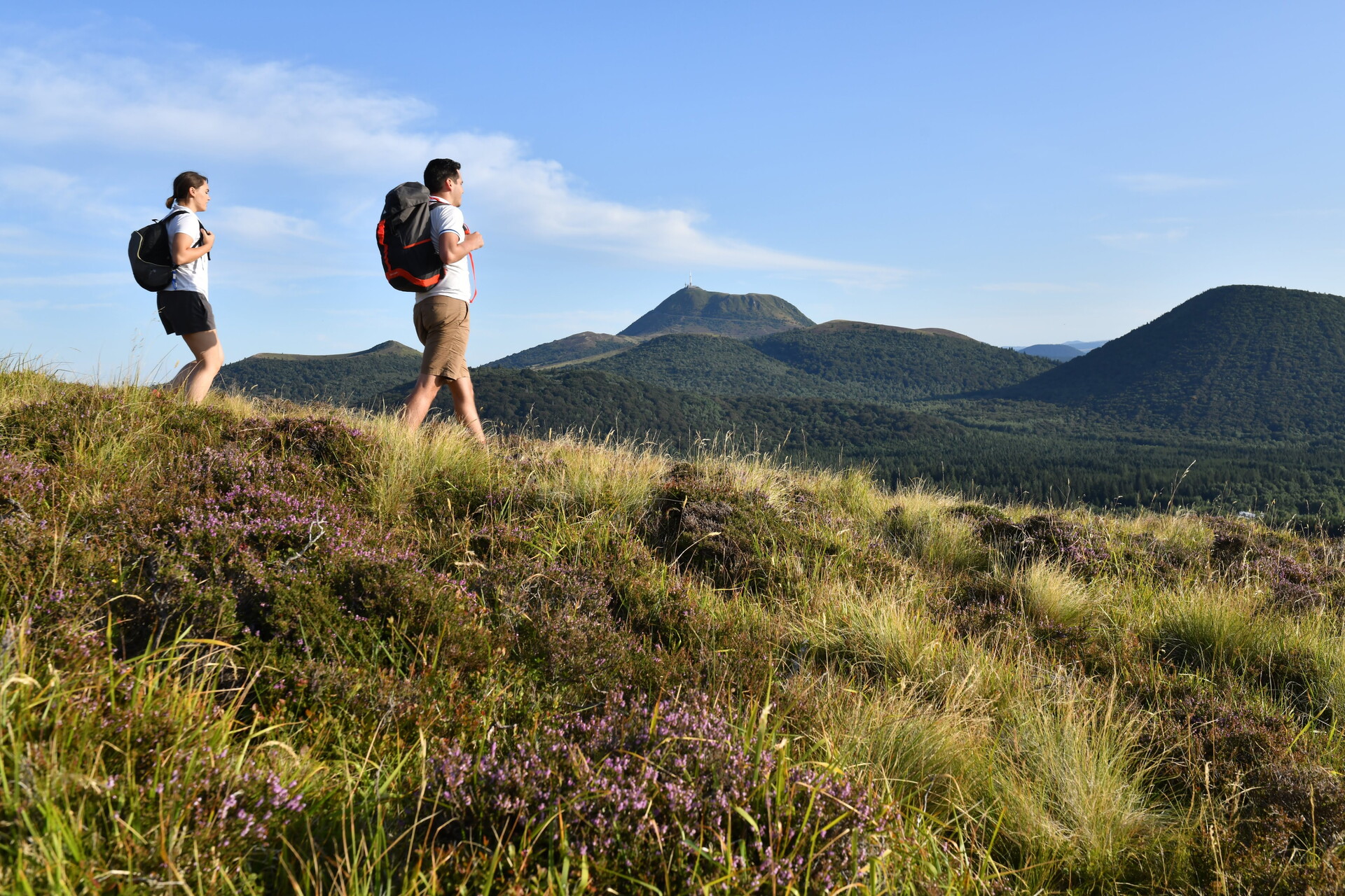 Hiking at the Pic de Brionnet, at Saurier - Pays d'Issoire (63)