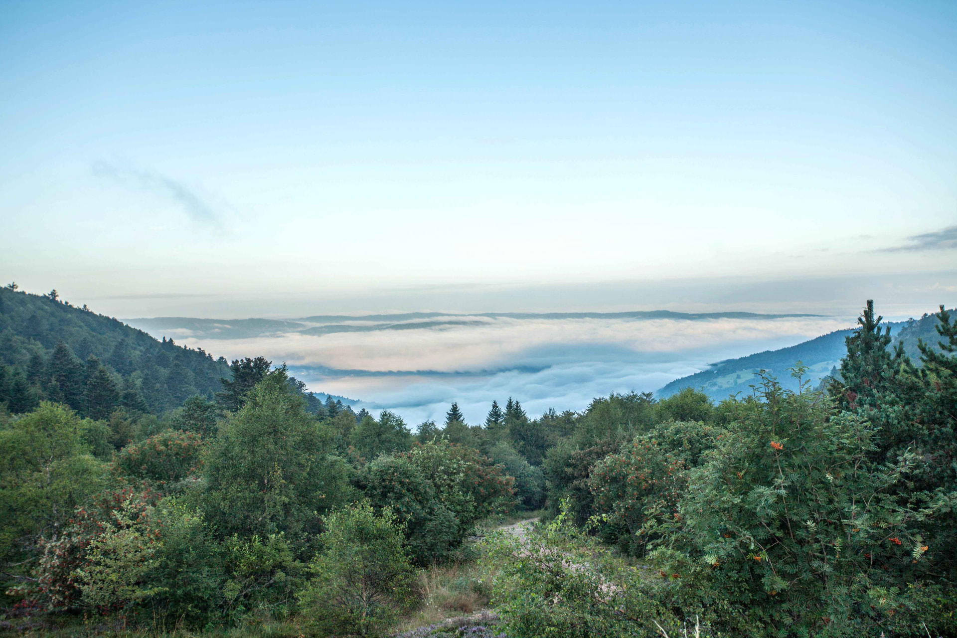 Vallée de la Dore, Livradois-Forez