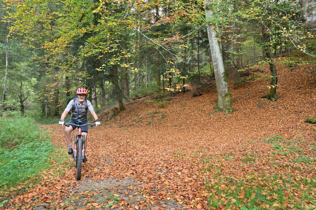 VTT autour de Cunlhat (63) - PNR Livradois-Forez ©J. Damase/Auvergne-Rhône-Alpes Tourisme