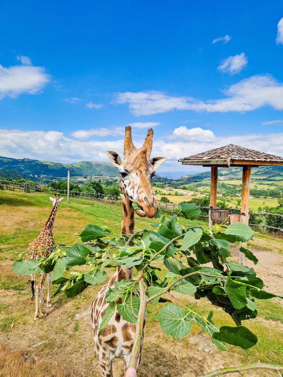 Parc Animalier d'Auvergne