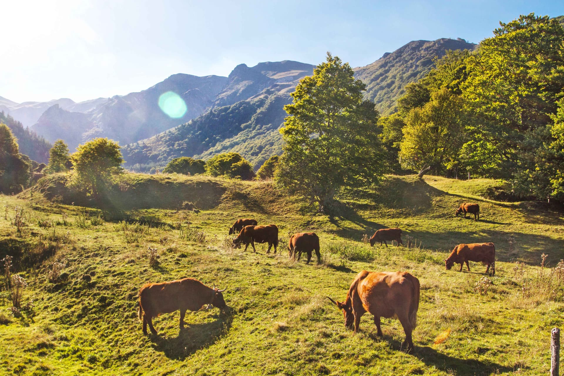Vallée de Chaudefour ©DAVID FROBERT Parcs naturels Régionaux, Vallée de Chaudefour (Puy-de-Dôme, Auvergne)