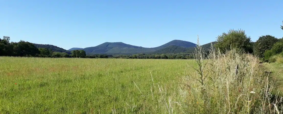 Narse de Beaunit, Crédit photo Balirando