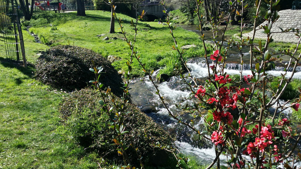 Royat spa park