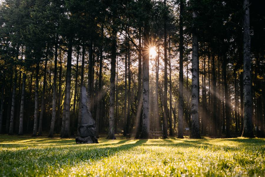 Parc de la Source Volvic Parc de la Source Volvic, crédit photo Florian BOMPAN