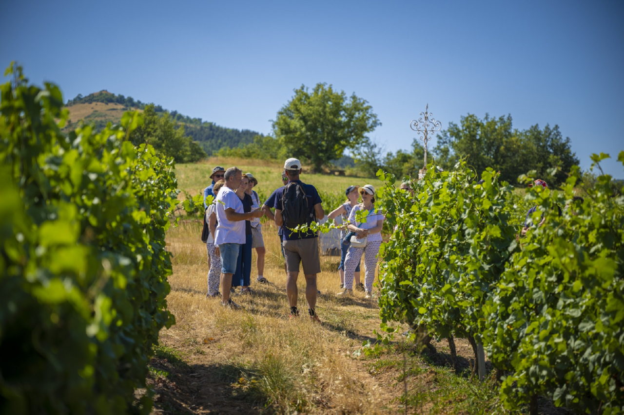 Crédit photo : Henri DERUS / CD63