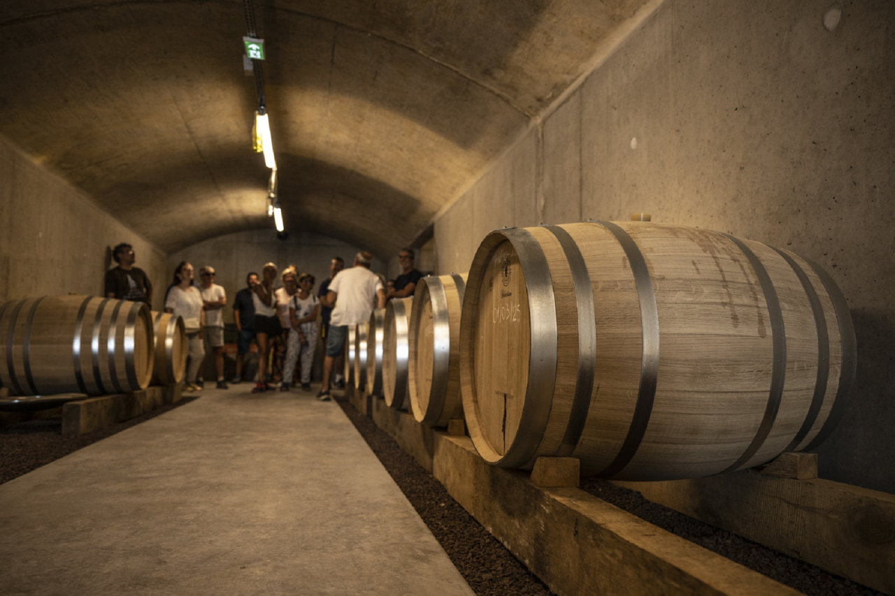 Crédit photo : Henri DERUS / CD63