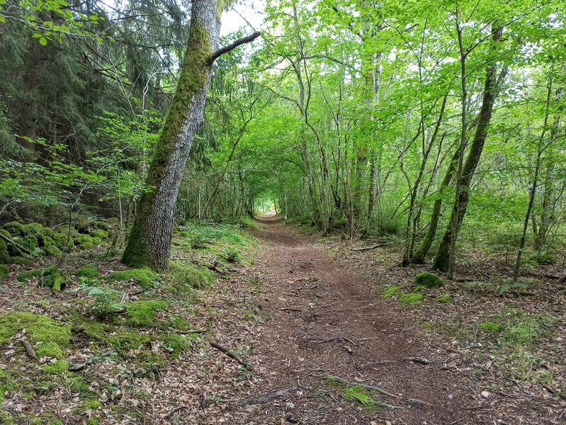 Puy de la Nugère Puy de la Nugère, crédit photo Communauté d'Agglomération Riom Limagne et Volcans