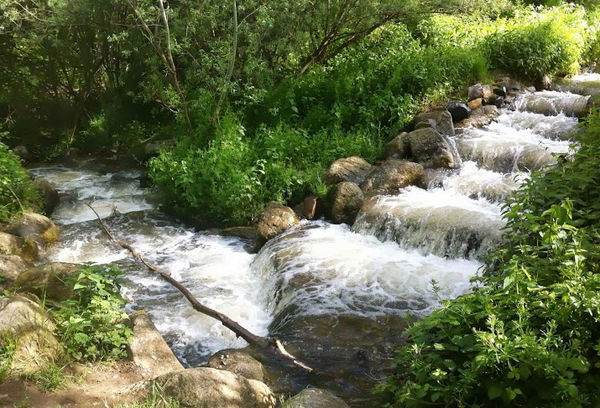 Randonnée les gorges de l'artière